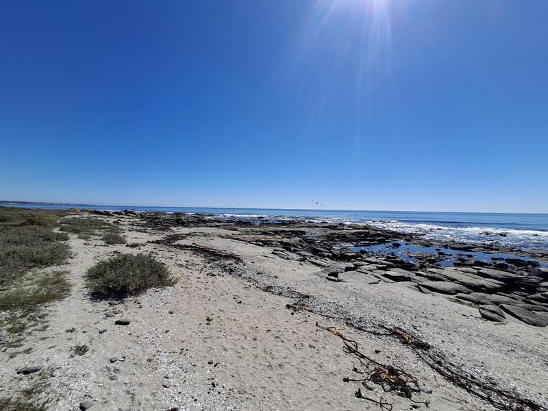 0 Bedroom Property for Sale in Sandy Point Western Cape